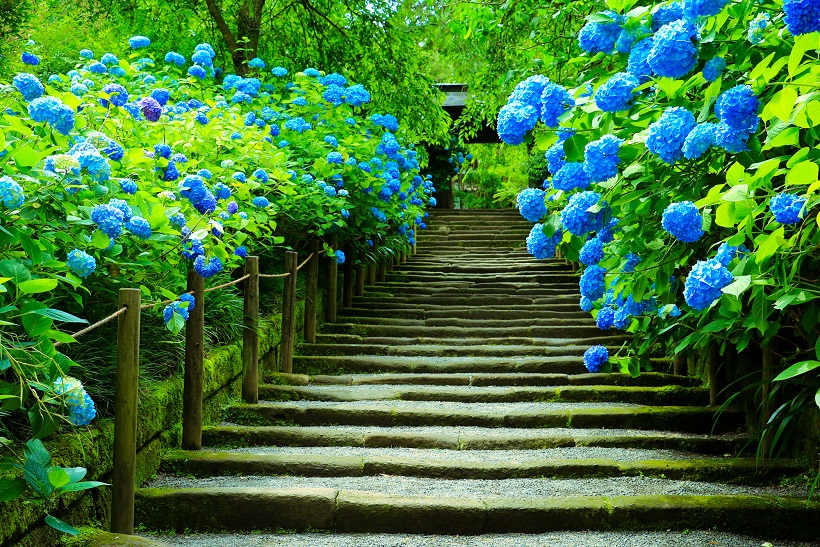 Vùng Kanto là một trong những điểm đến hấp dẫn tại Nhật Bản, với những phong cảnh đẹp tuyệt vời và nền văn hóa đa dạng. Hãy xem hình ảnh liên quan đến Vùng Kanto để khám phá những điều thú vị và quyến rũ của đất nước hoa anh đào này.